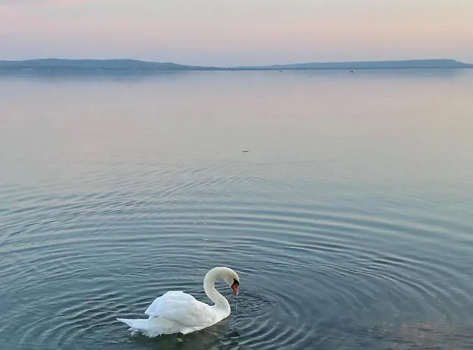 Luna Rossa Boutique アパート *