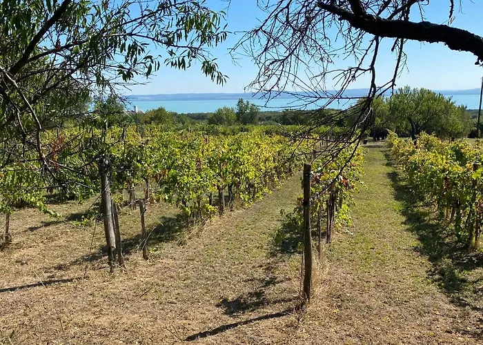 Luna Rossa Boutique アパート *